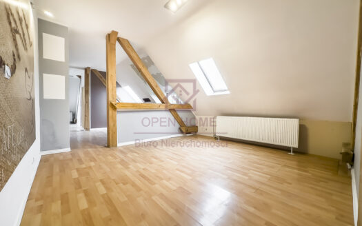 Klimatyczne mieszkanie w cichej części miasta