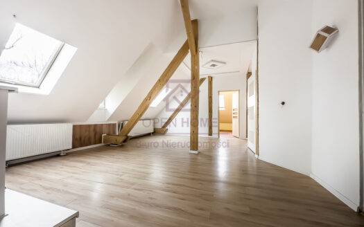 Klimatyczne mieszkanie w cichej części miasta