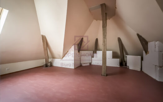 Klimatyczne mieszkanie w cichej części miasta