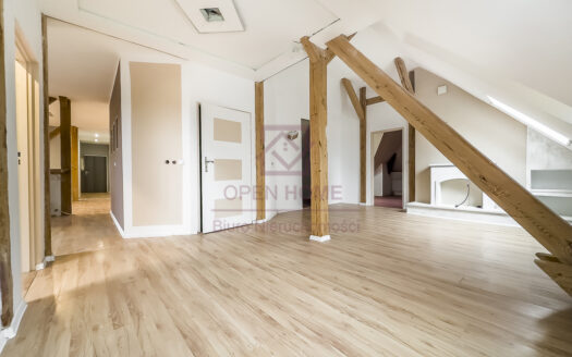 Klimatyczne mieszkanie w cichej części miasta