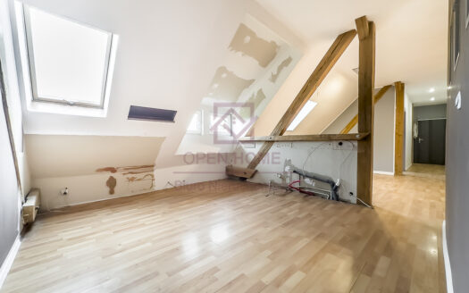 Klimatyczne mieszkanie w cichej części miasta